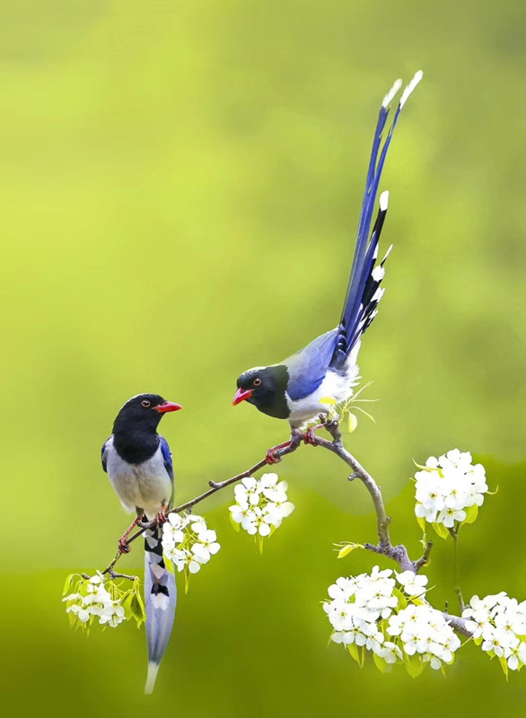 ���Ӵ�����