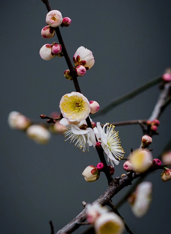 ���Ӵ�����