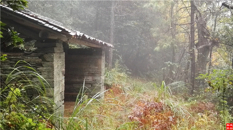 �Ϫɳ����Դ