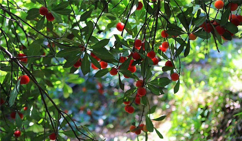 �Ϫɳ����Դ