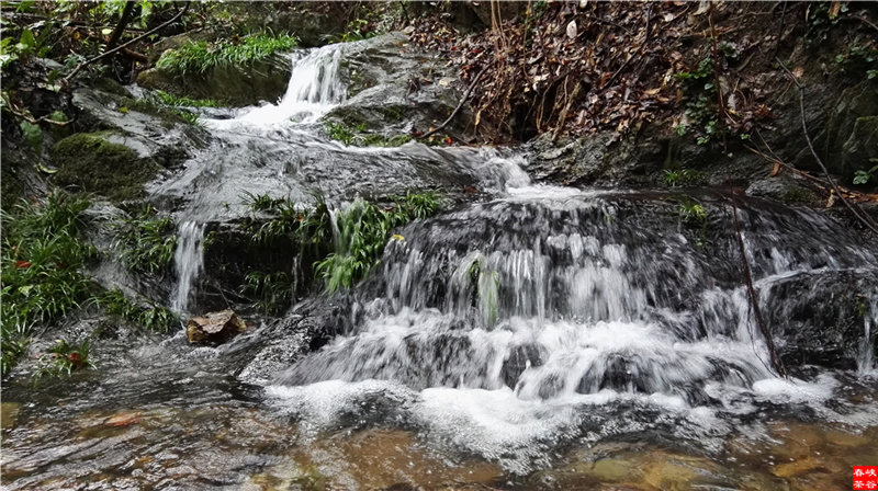 �Ϫɳ����Դ