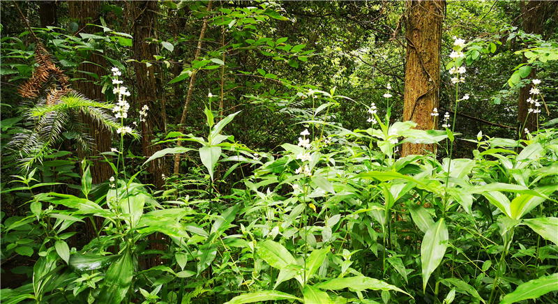 �Ϫɳ����Դ