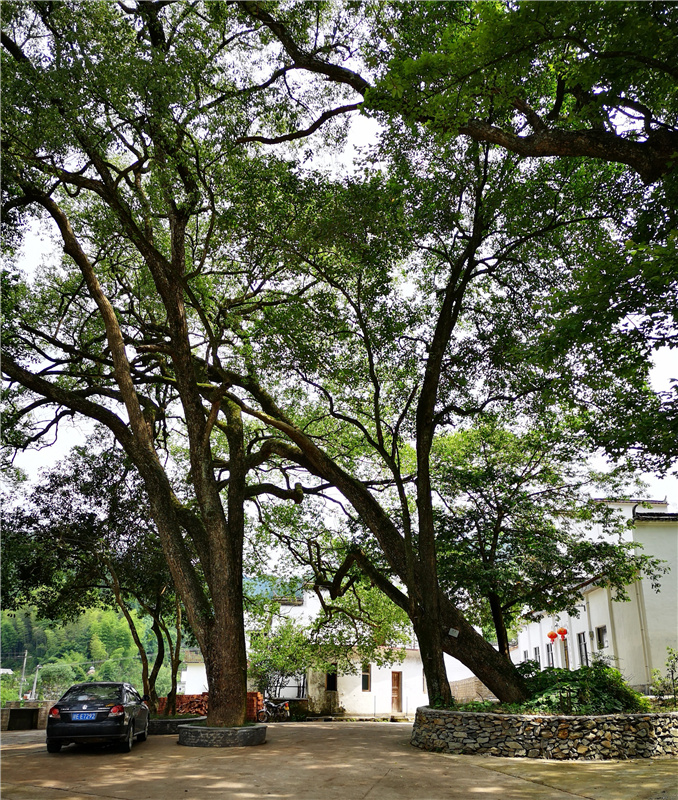 �Ϫɳ����Դ