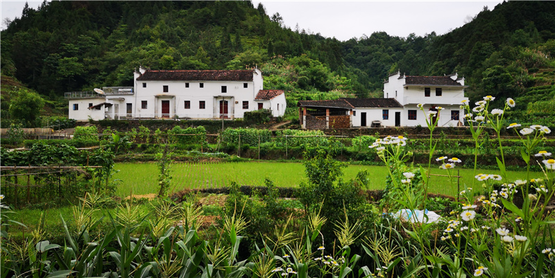 �Ϫɳ����Դ