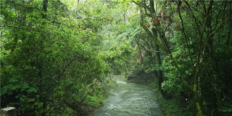 ��Դʯ�{��