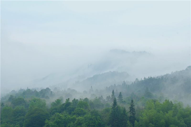 ������Դ