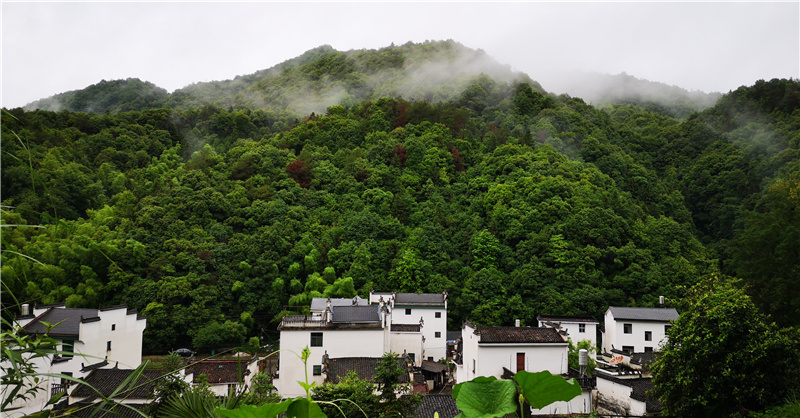 ��Դ�L(f��ng)��