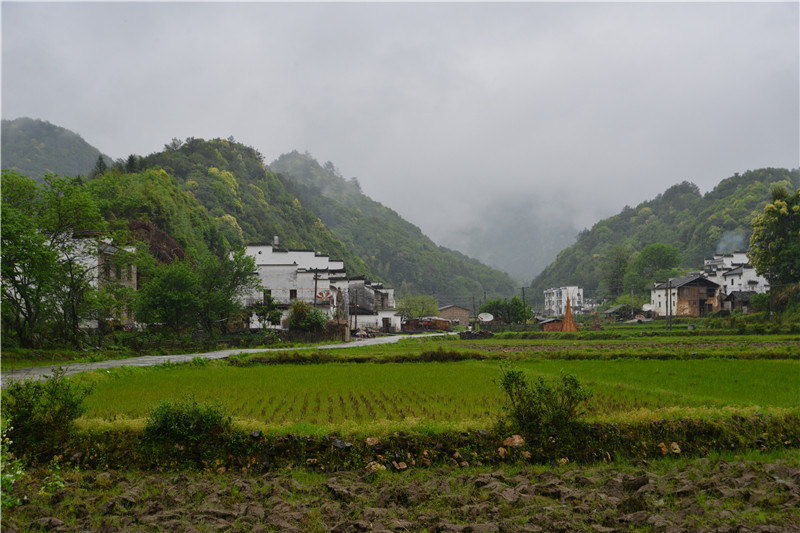 �}�F�w����Դ�D