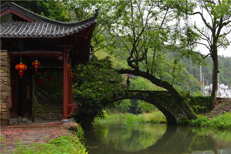 �}�F�w����Դ�D