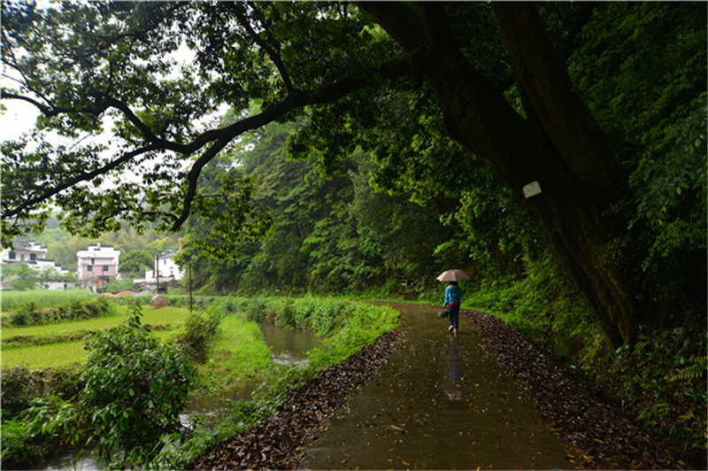 �}�F�w����Դ�D