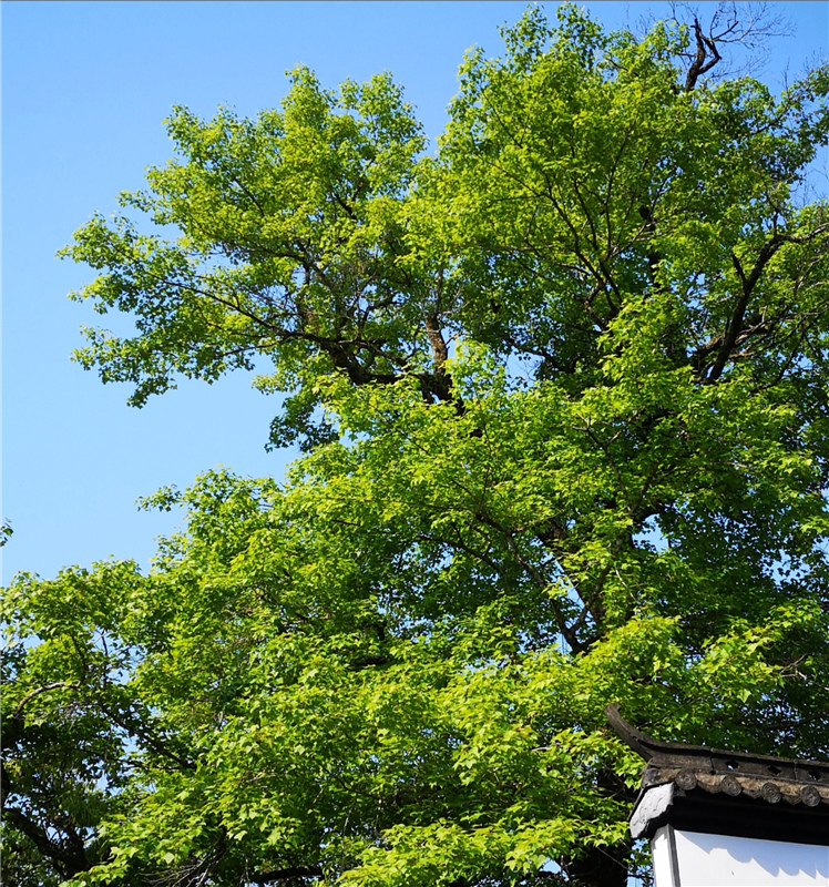 �}�F�w����Դ�D