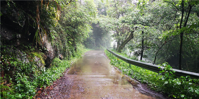 ͽ����Դ����