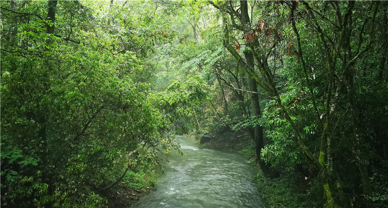 ͽ����Դ����