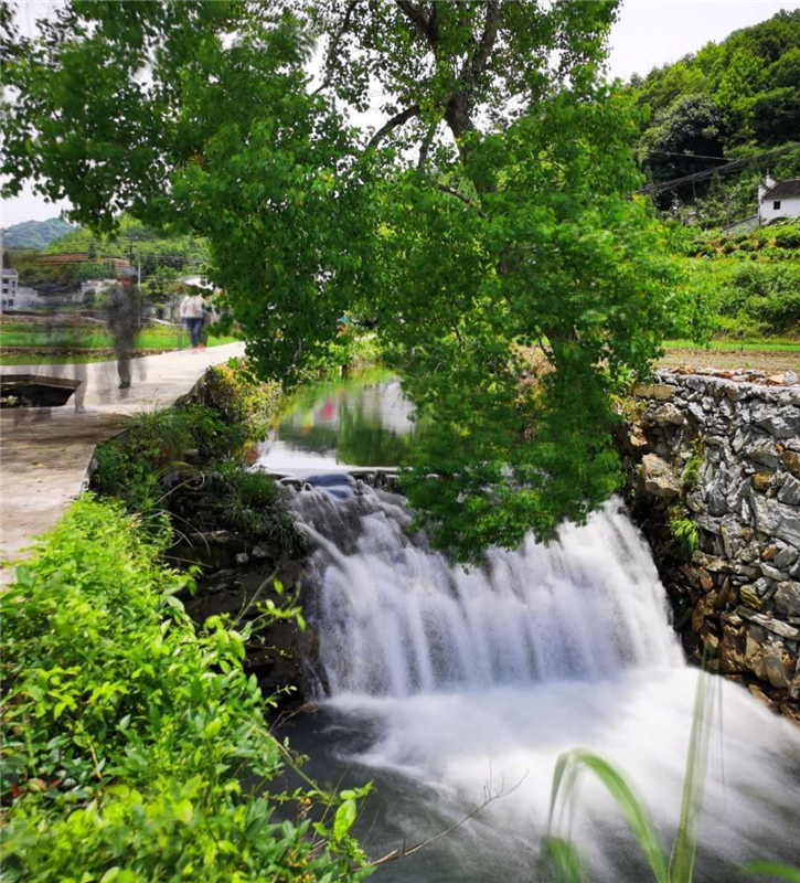 ͽ����Դ����