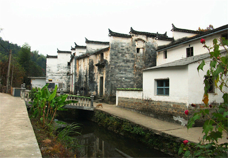 ͽ����Դ����