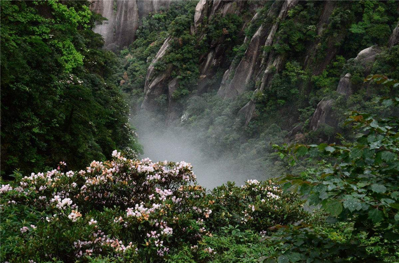 ��Ȫ֮���MԊ��