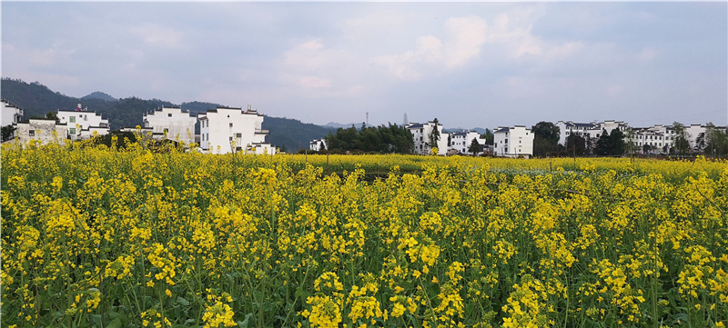 ������Դ