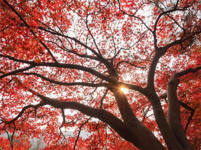 �����죬�ȴ�һö���µļt�~