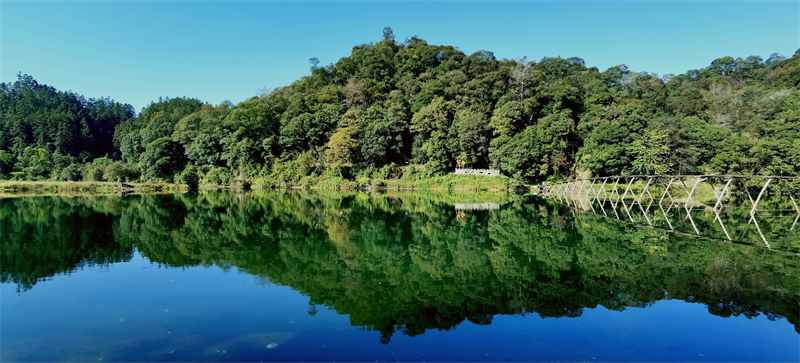 ղ����Ԋ�x��