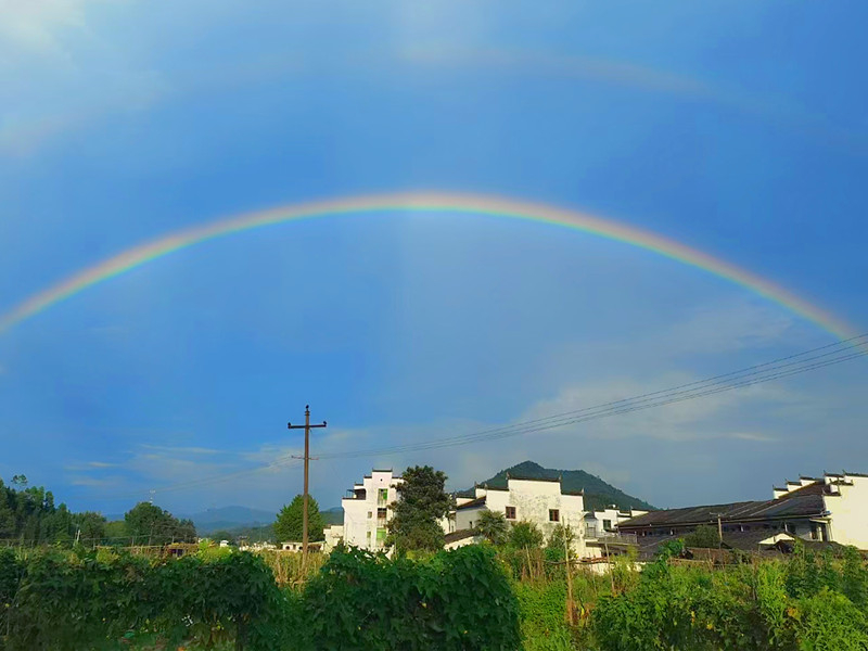 ղ����Ԋ�x��