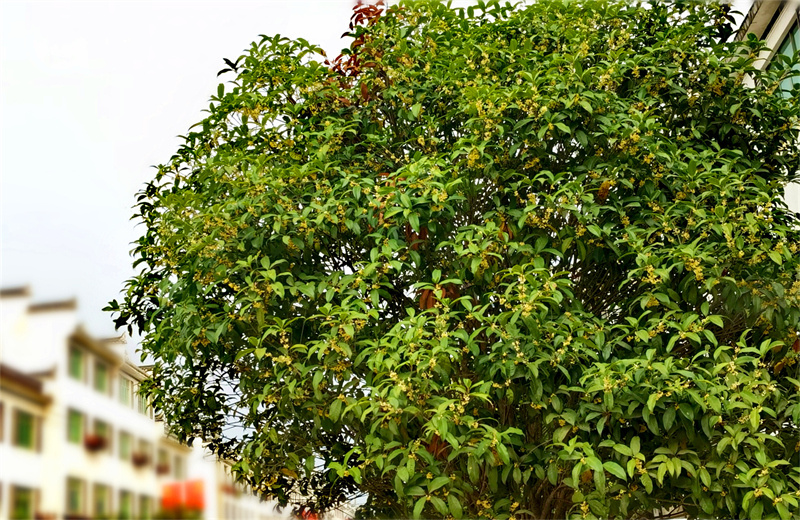 ��Դ������������Ԋ���C��