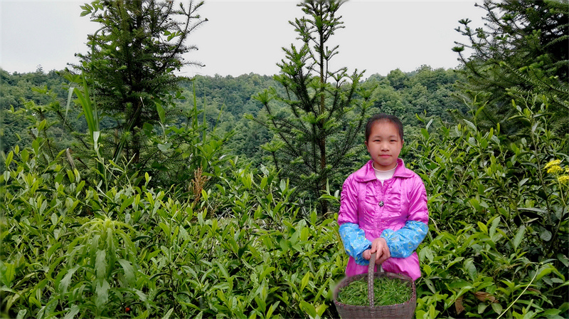 �裬��Ȼ����