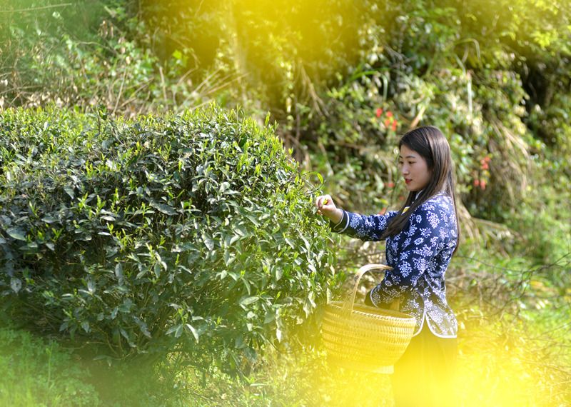 ��ɽ�{�ȴ���@