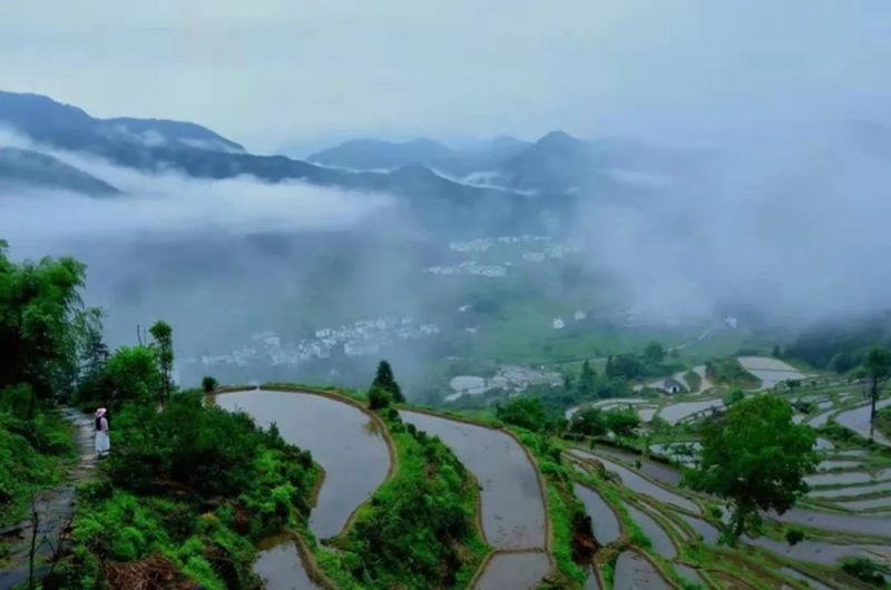 �羮Ԋ�~(li��n)*ţ���һ�� ��į���`�����⣬������Ҋһ����