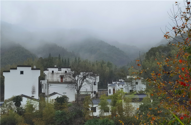 �羮Ԋ�~(li��n)*ţ���һ�� ��į���`�����⣬������Ҋһ����