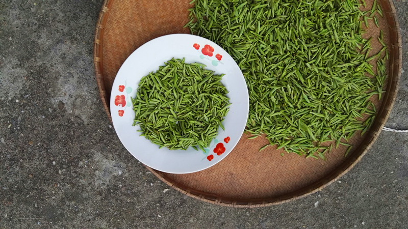 �{�ȴ����