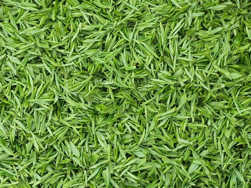 �{�ȴ����