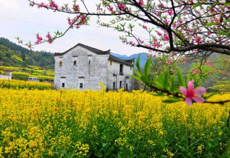 ��������·��