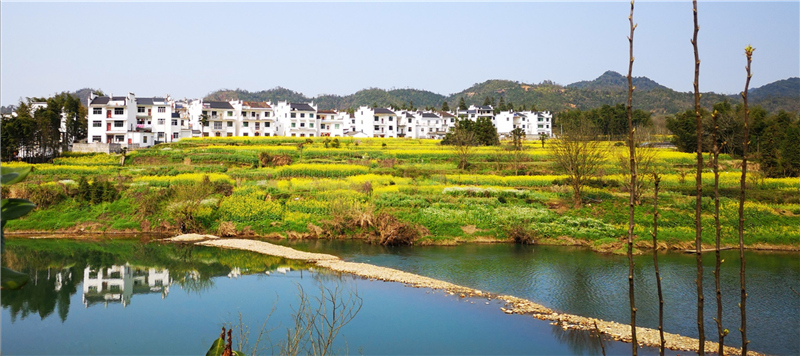 ��������·��