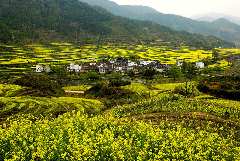 �羮Ԋ�~������ڶ��� ���ֳ�����\�C���L���ԹŔ��}��