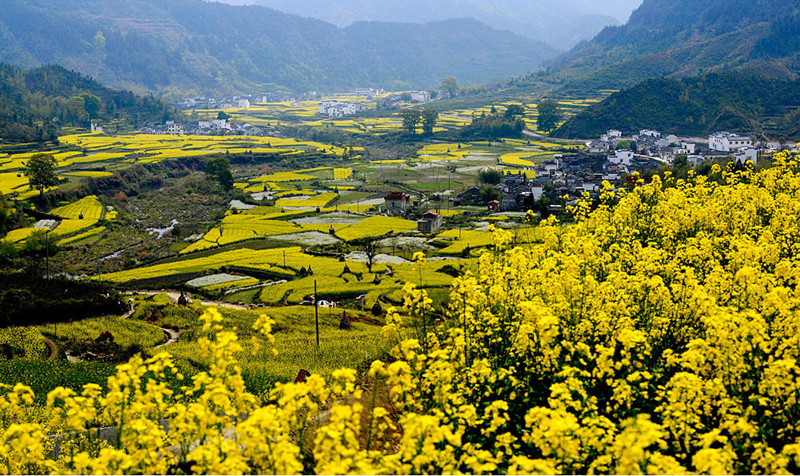 �羮Ԋ�~������ڶ��� ���ֳ�����\�C���L���ԹŔ��}��