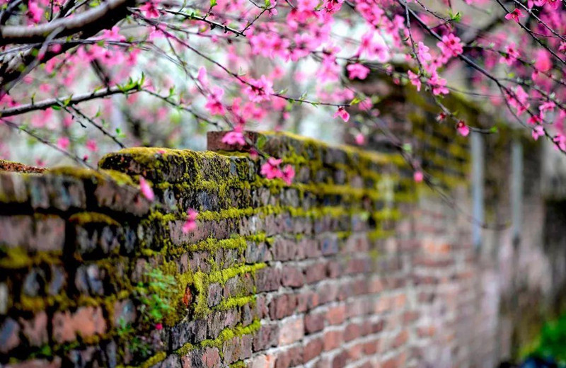 �羮Ԋ�~������ڶ��� ���ֳ�����\�C���L���ԹŔ��}��