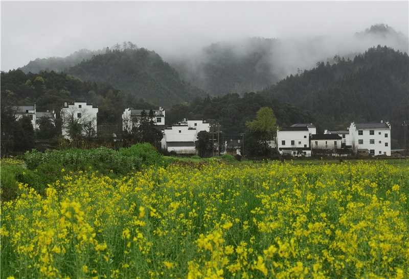 �羮Ԋ�~������ڶ��� ���ֳ�����\�C���L���ԹŔ��}��