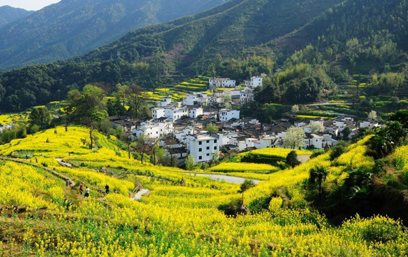 �羮Ԋ�~������ڶ��� ���ֳ�����\�C���L���ԹŔ��}��