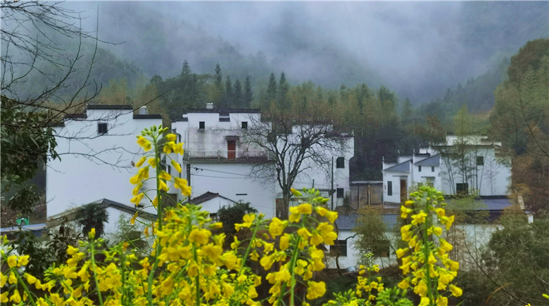 ˼����Դ���L��