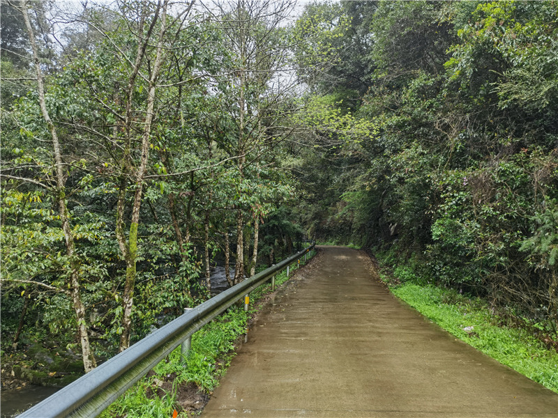 ˼����Դ���L��