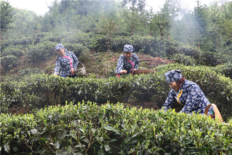 �}�{�ȴ���