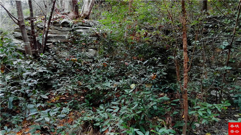 �}�{�ȴ���