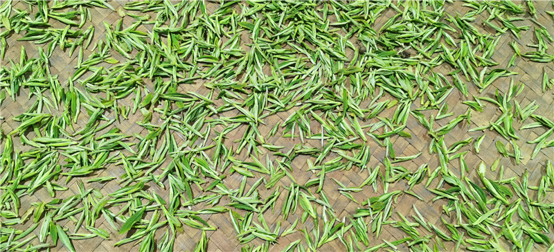 �}�{�ȴ���