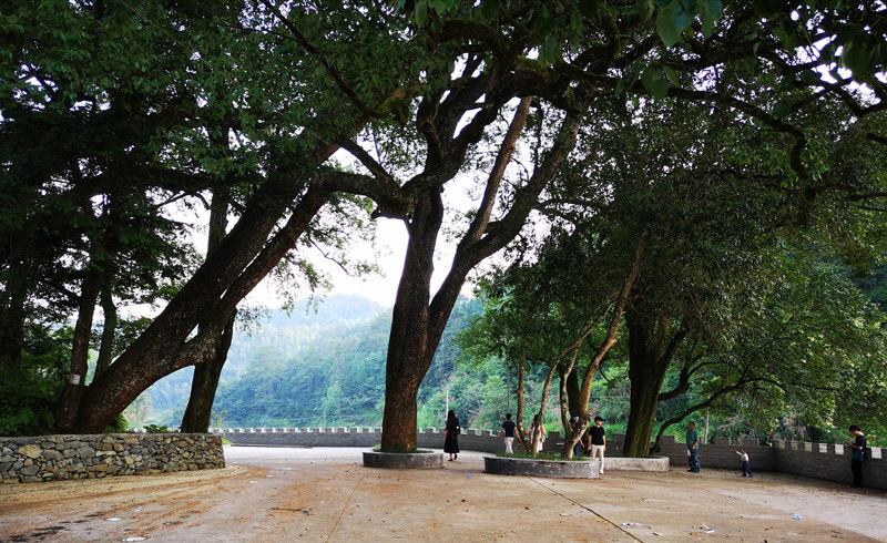 �Tǰ�������~׃�Q�и�