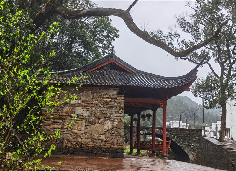 �R�F�wԊ���� ����éɽ��