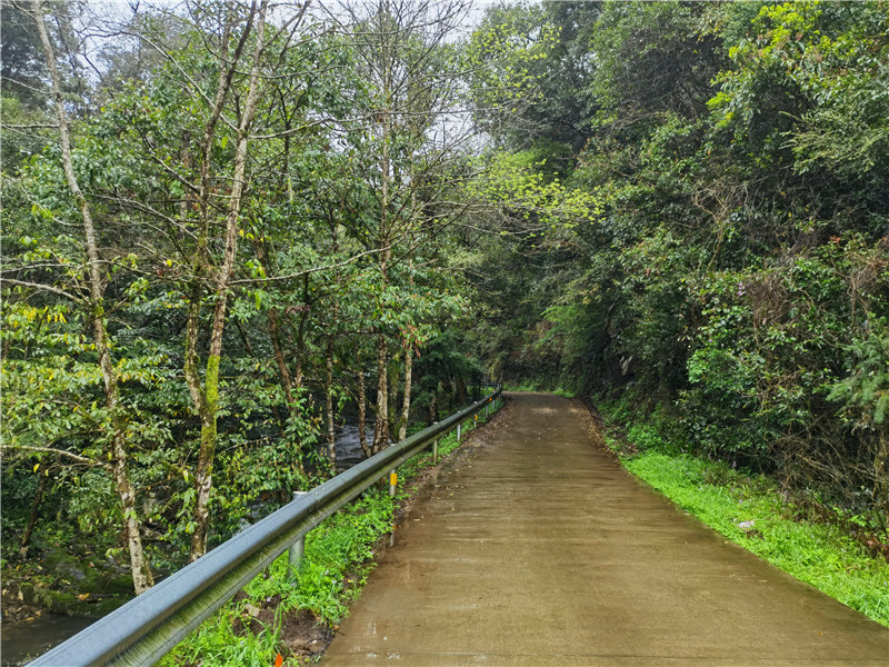 �R�F�wԊ���� ����éɽ��