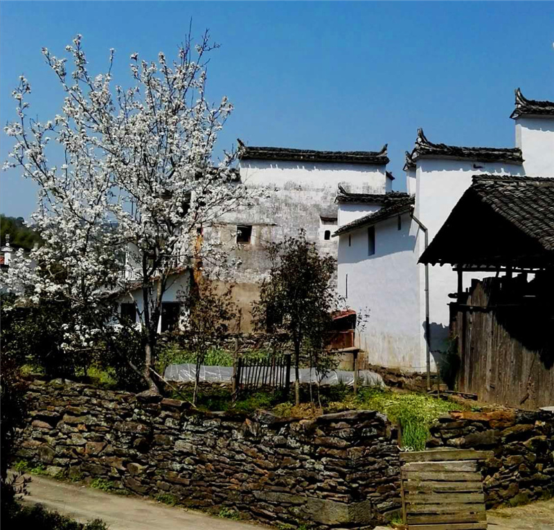 �R�F�wԊ���� ����éɽ��