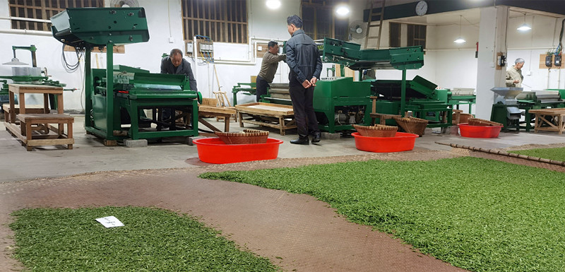 �R�F�wԊ���� �Ʋ��и�