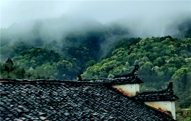 �R�F�wԊ���� ɽ��