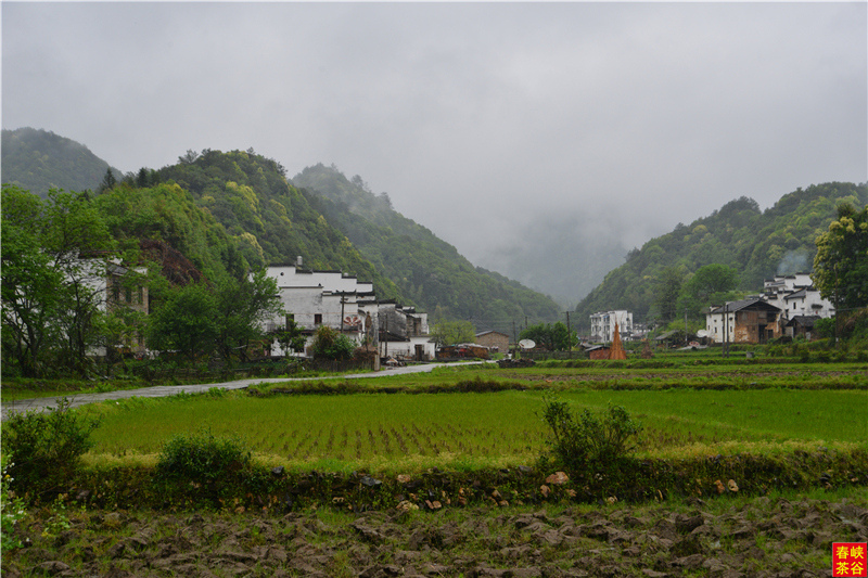 ��������Դ��